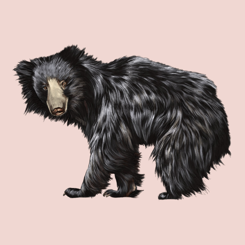 Sloth Bear Premium Sweatshirt by LillyAllenDesigns | Teevron