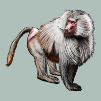 Baboon Heavyweight Hoodie | Teevron