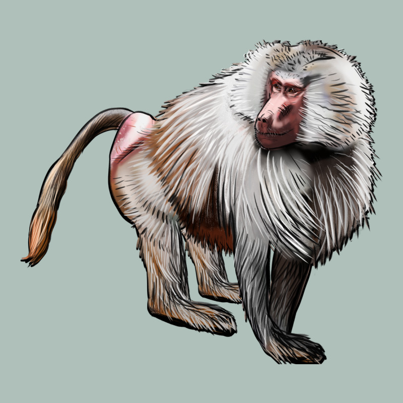 Baboon Heavyweight Hoodie by LillyAllenDesigns | Teevron