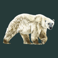 Polar Bear Premium Sweatshirt | Teevron