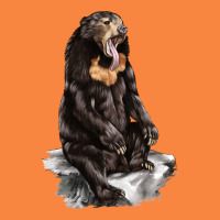 Malayan Sun Bear Premium Sweatshirt | Teevron