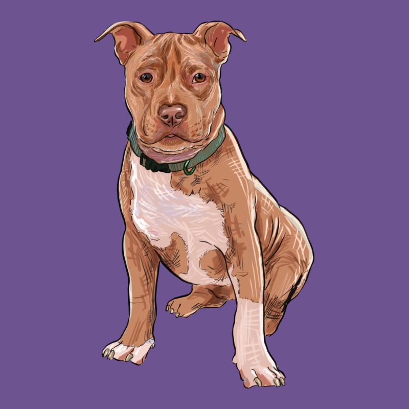 Brown Pitbull Vintage Tee by RanaPortraitStore | Teevron