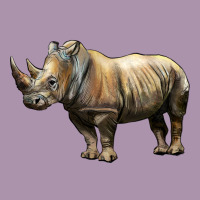 Rhino Illustrations Heavyweight Hoodie | Teevron