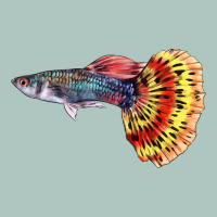 Guppy Fish Premium Sweatshirt | Teevron