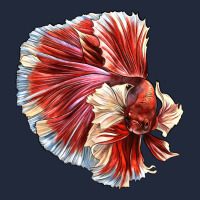 Betta Fish Premium Sweatshirt | Teevron
