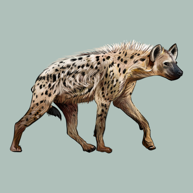 Hyena Heavyweight Hoodie by LillyAllenDesigns | Teevron