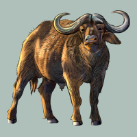 Buffalo Heavyweight Hoodie | Teevron