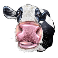 Cute Holstein Face | Teevron