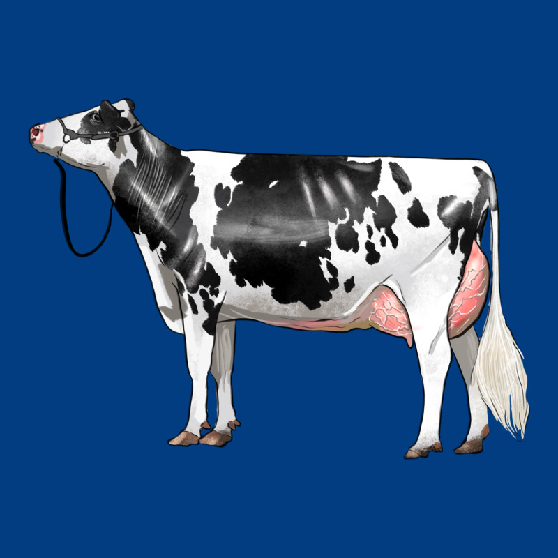 Holstein Dairy Cow Premium Sweatshirt by LillyAllenDesigns | Teevron
