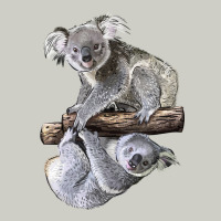 Koala Heavyweight Hoodie | Teevron