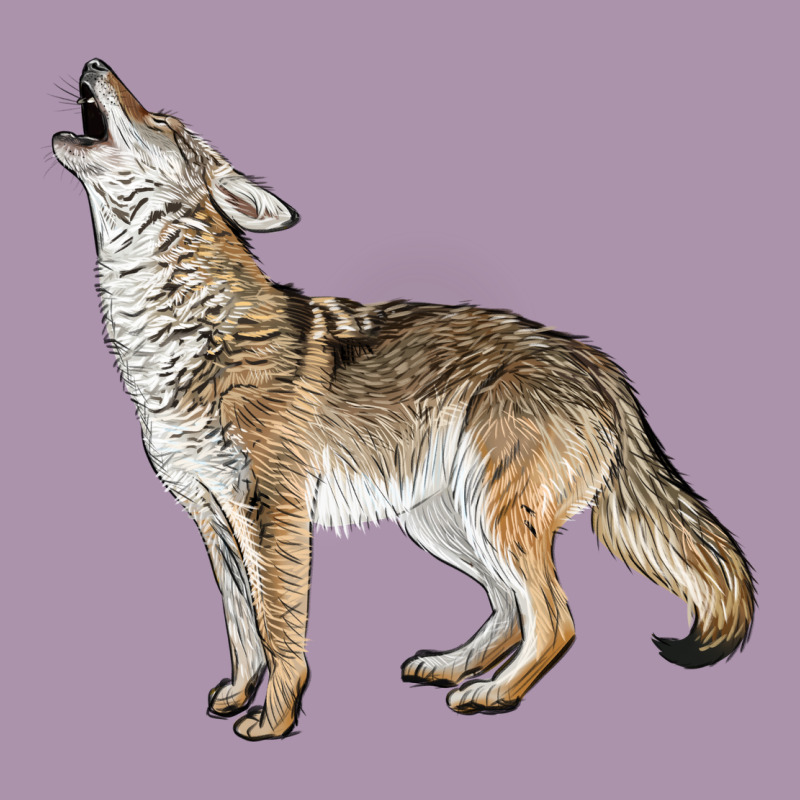 Howling Coyote Heavyweight Hoodie by LillyAllenDesigns | Teevron