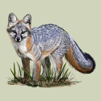 Gray Fox Heavyweight Hoodie | Teevron
