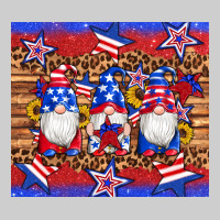 American Flag Gnomes Star Leopard Glitter Tumbler Premium Tee | Teevron