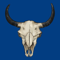 Bull Skull Premium Sweatshirt | Teevron
