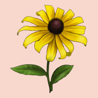 Black Eyed Susan Flower Urban Hoodie | Teevron