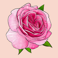 All Dressed Up Rose Urban Hoodie | Teevron