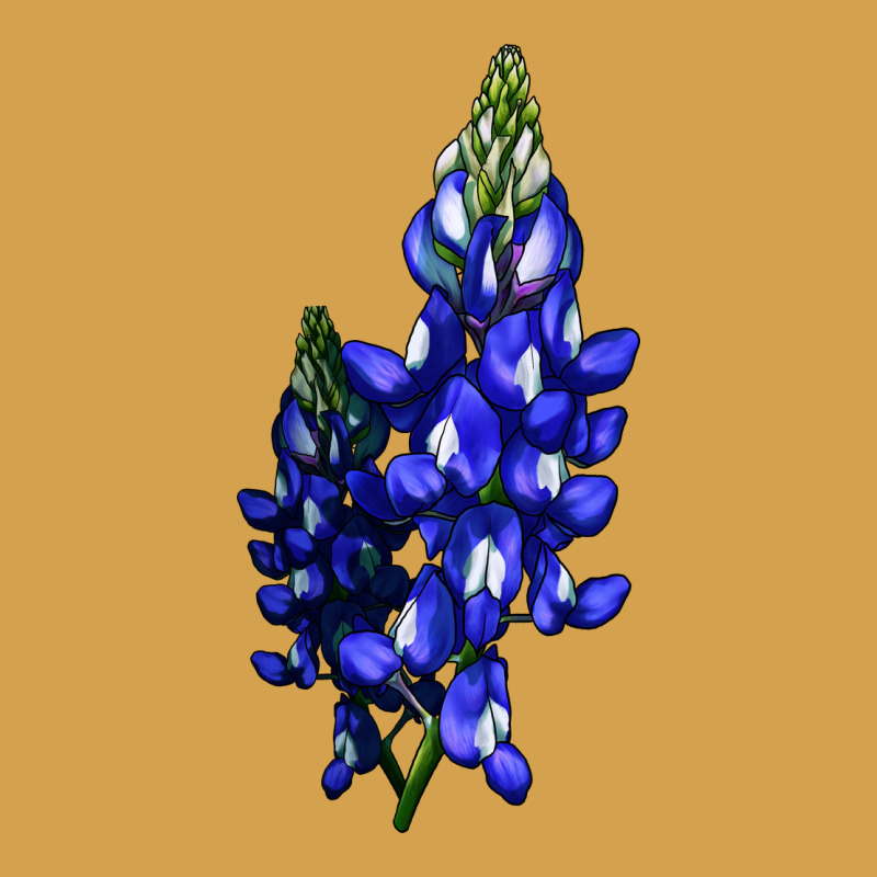 Bluebonnet Flower Urban Hoodie by LillyAllenDesigns | Teevron