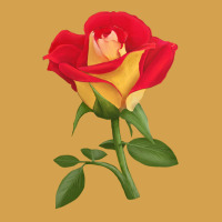 Ketchup And Mustard Rose Urban Hoodie | Teevron