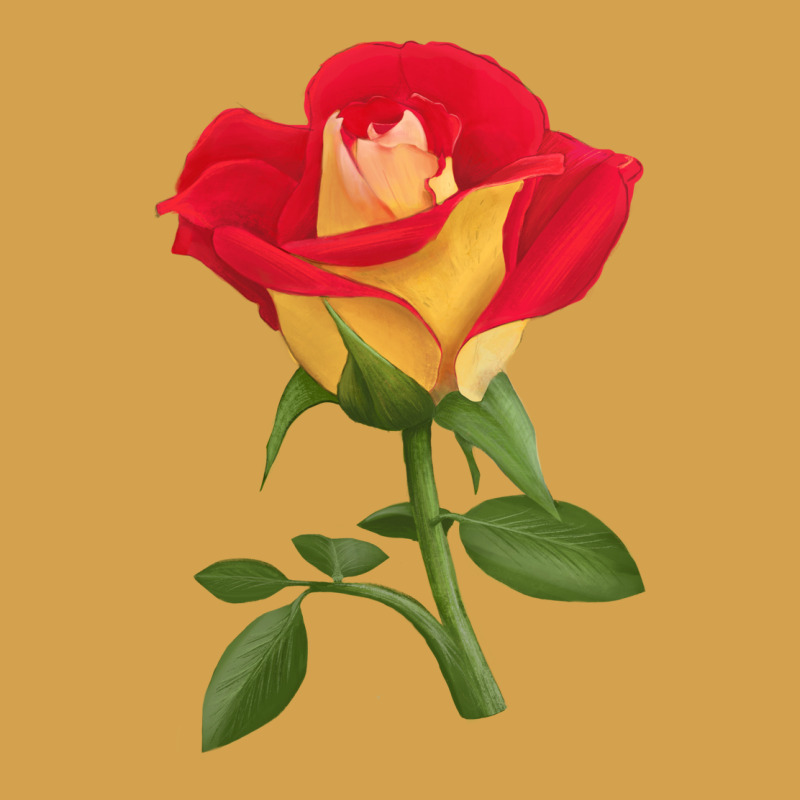 Ketchup And Mustard Rose Urban Hoodie by LillyAllenDesigns | Teevron