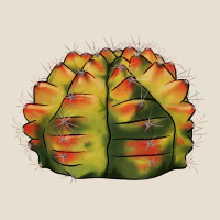 Gymnocalycium Variegated Cactus Urban Hoodie | Teevron