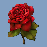 Oklahoma Rose Illustrations Urban Hoodie | Teevron