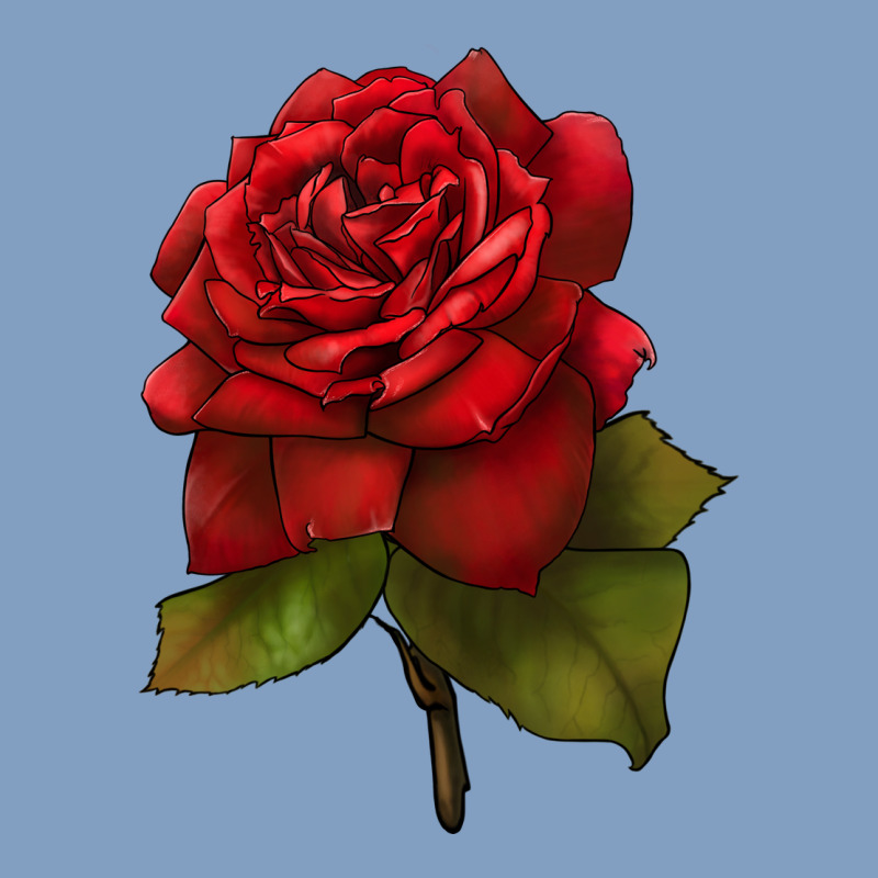 Oklahoma Rose Illustrations Urban Hoodie by LillyAllenDesigns | Teevron