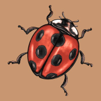 Ladybug Heavyweight Hoodie | Teevron