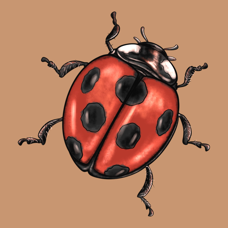 Ladybug Heavyweight Hoodie by BarkalooDesign | Teevron
