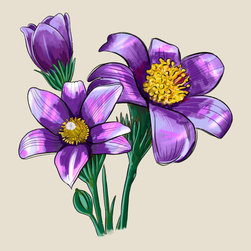 Pasque Flower Illustrations Urban Hoodie by LillyAllenDesigns | Teevron