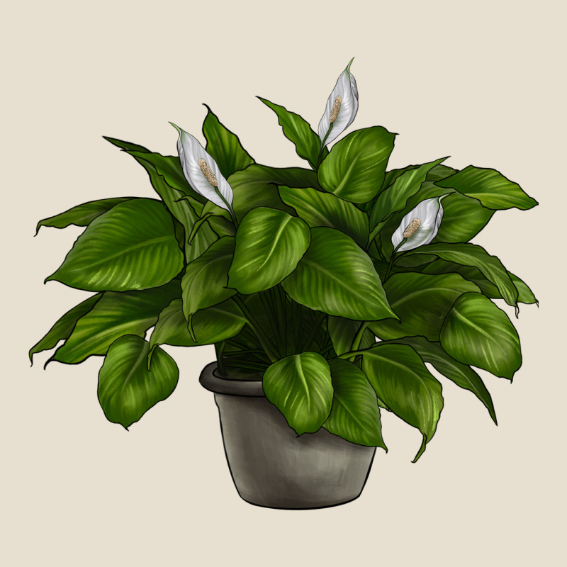 Peace Lily Urban Hoodie by LillyAllenDesigns | Teevron