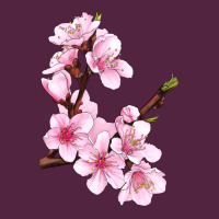 Peach Blossom Illustrations Urban Hoodie | Teevron