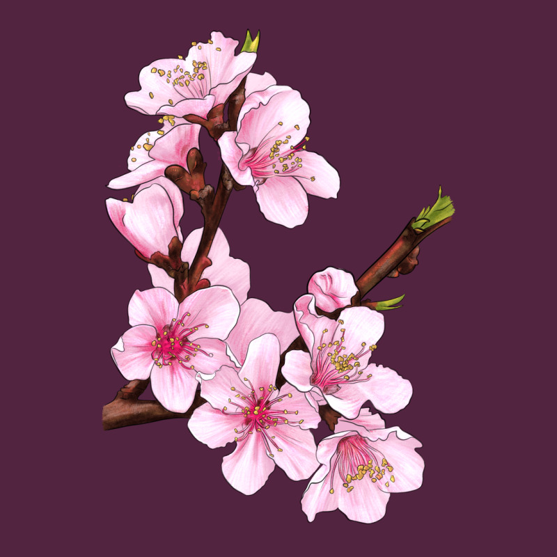 Peach Blossom Illustrations Urban Hoodie by LillyAllenDesigns | Teevron