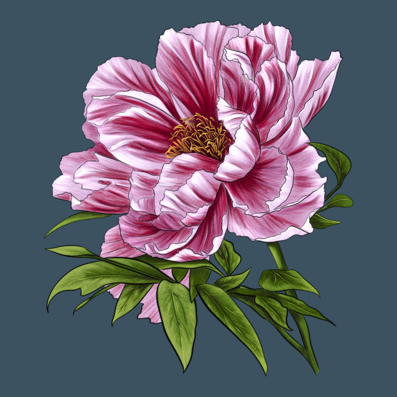 Peony Flower Illustrations Urban Hoodie by LillyAllenDesigns | Teevron