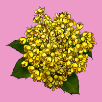 Oregon Grape Flower Illustrations Urban Hoodie | Teevron