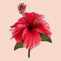 Puerto Rican Hibiscus Flower Urban Hoodie | Teevron