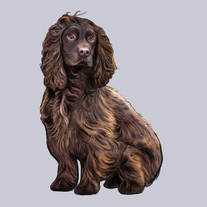 Boykin Spaniel Dog Heavyweight Hoodie by LillyAllenDesigns | Teevron