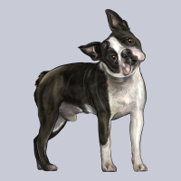 Boston Terrier Heavyweight Hoodie | Teevron