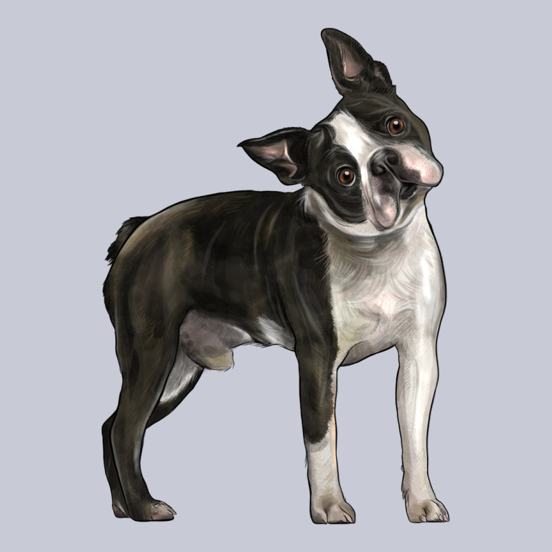 Boston Terrier Heavyweight Hoodie by LillyAllenDesigns | Teevron