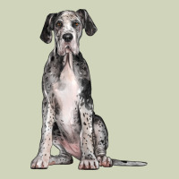 Great Dane Dog Heavyweight Hoodie | Teevron
