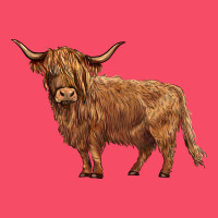 Highland Cow Premium Sweatshirt | Teevron
