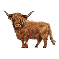 highland cow | Teevron