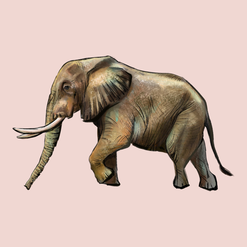 Elephant Premium Sweatshirt by LillyAllenDesigns | Teevron
