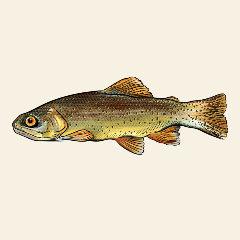Arizona Apache Trout Fish Vintage Tee by BarkalooDesign | Teevron