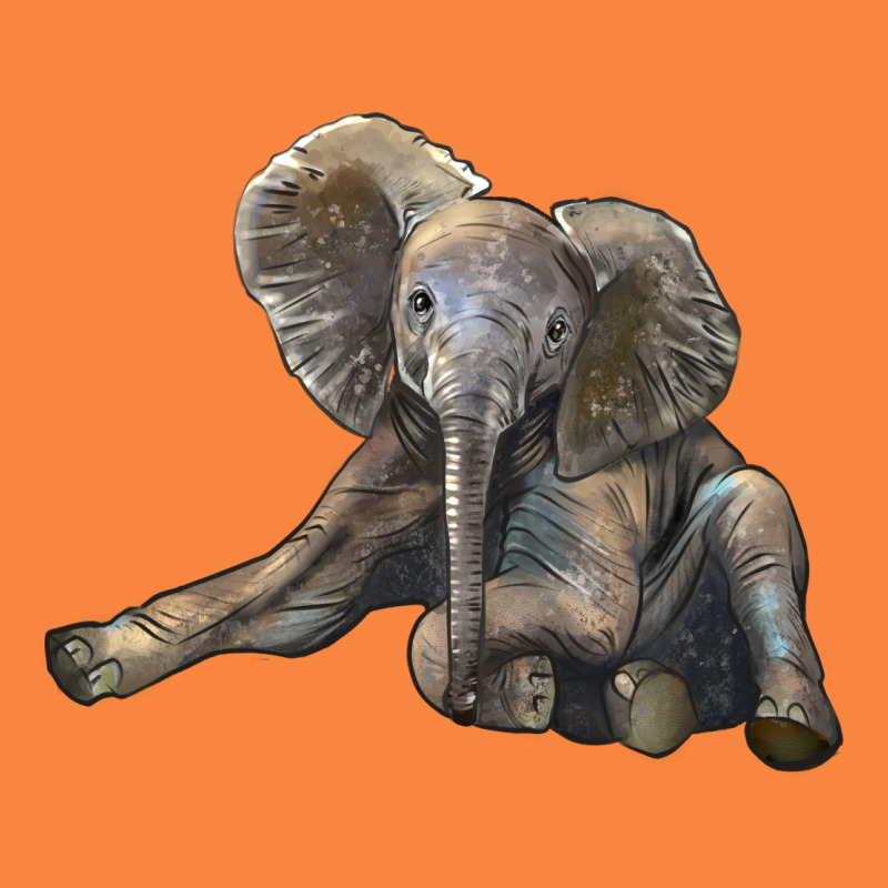 Baby Elephant Premium Sweatshirt by LillyAllenDesigns | Teevron
