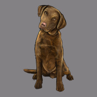 Chesapeake Bay Retriever Heavyweight Hoodie | Teevron