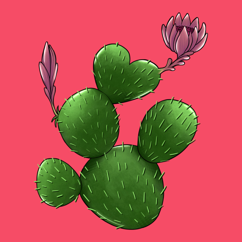 Heart Cactus Premium Sweatshirt by Jasminsmagicworld | Teevron