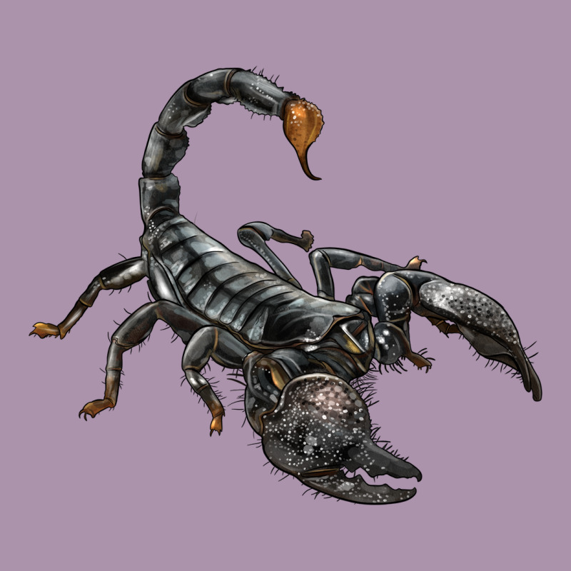 Scorpion Heavyweight Hoodie by LillyAllenDesigns | Teevron