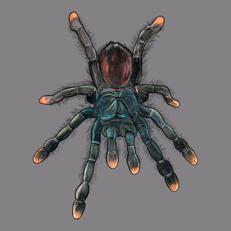 Pink Toe Tarantula Heavyweight Hoodie by LillyAllenDesigns | Teevron
