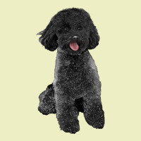 Black Poodles Dog Urban Hoodie | Teevron