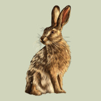 Hares Heavyweight Hoodie | Teevron